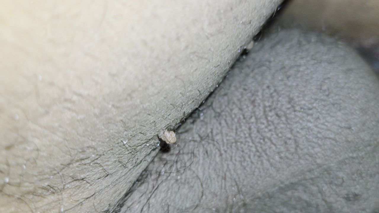 Latinas Legs Up For Dick