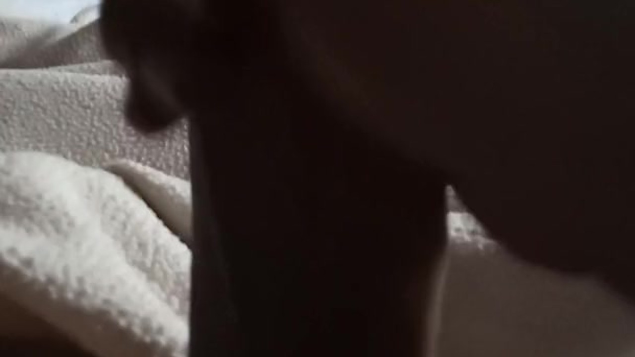 Latina Handles Morning Wood with Oral
