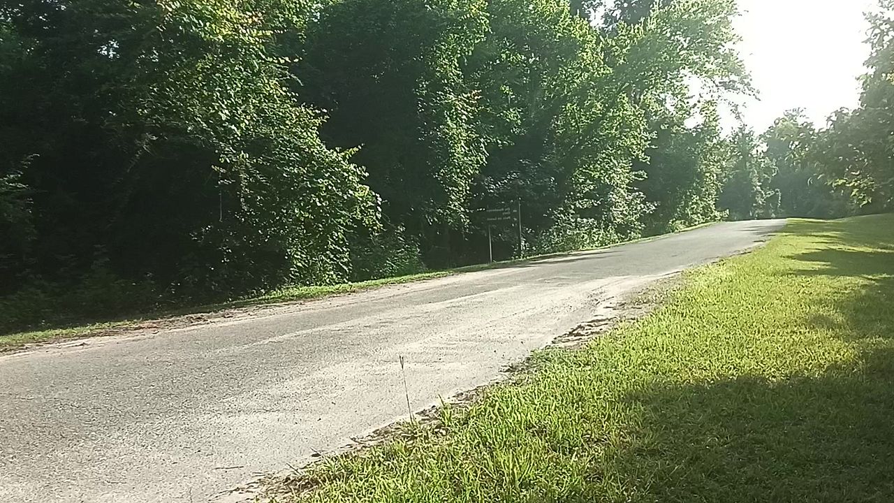 Latina Gives Blowjob to Football Star at State Park