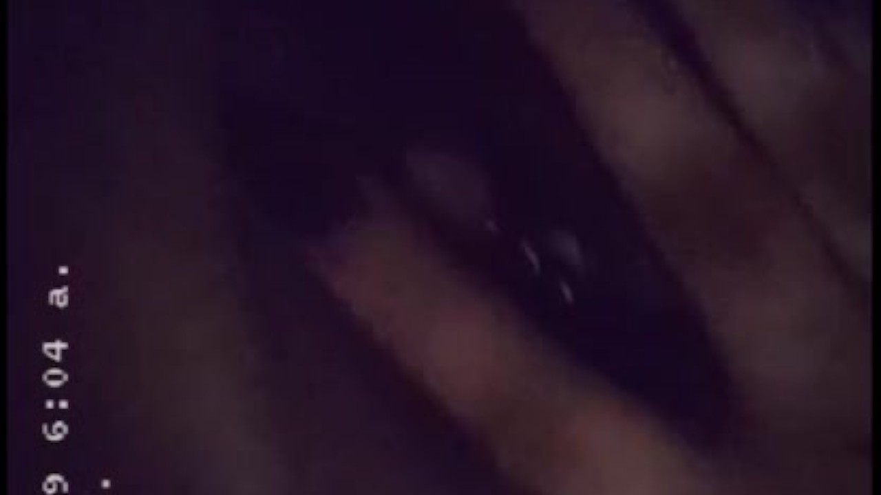 Latin Teen Masturbates On Friend's Bed Solo