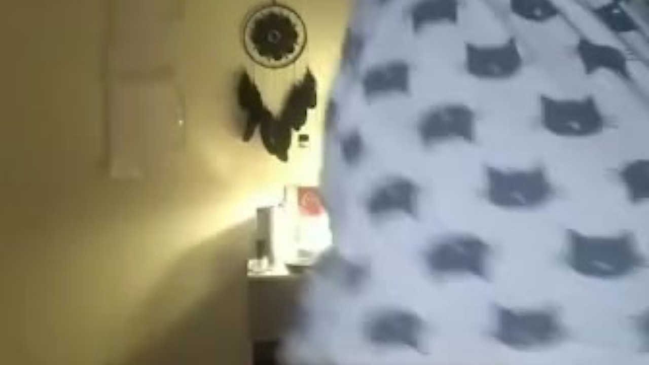 Latina Strip Tease Dance Show
